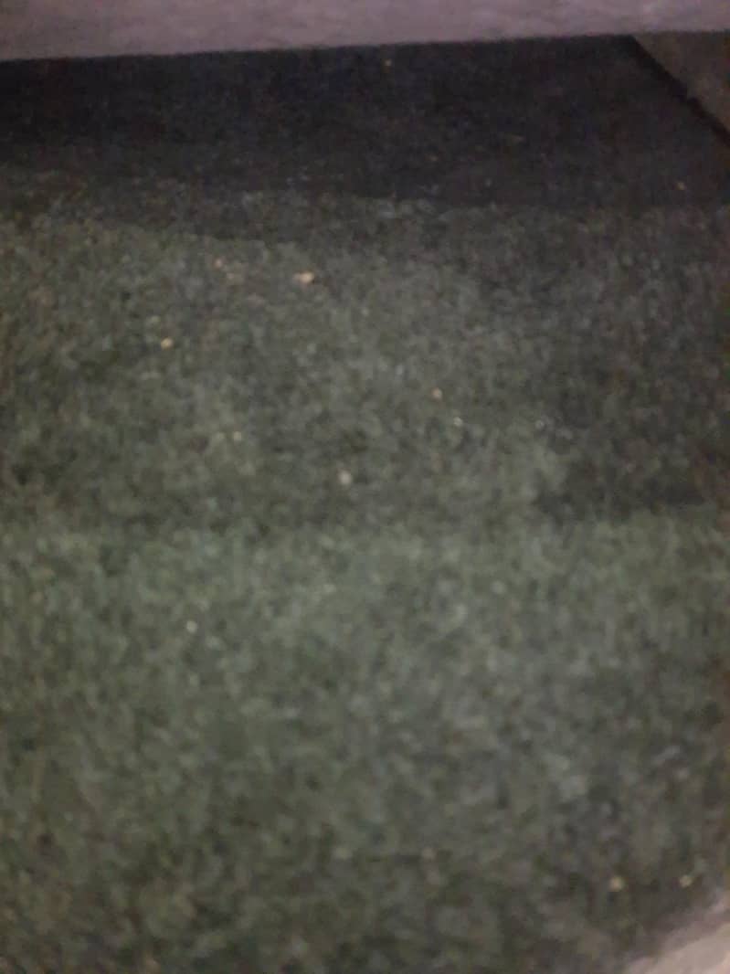 carpet 1