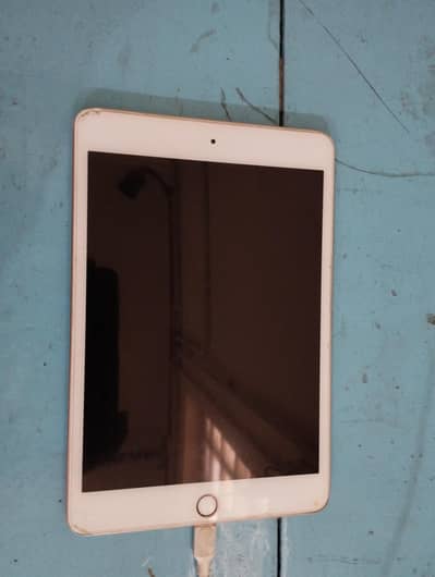 Ipad Mini5 white rose colour