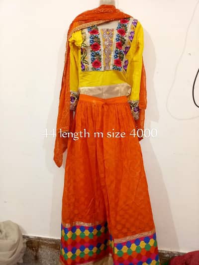 beautiful lehnaga