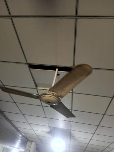 Use Cooling ceiling Fan available for sale