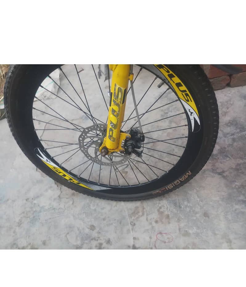 plus cycle 2