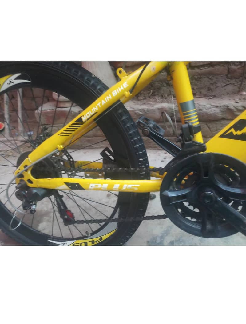 plus cycle 5