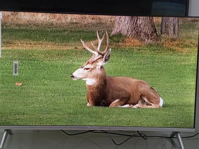 android led tv 03299844835