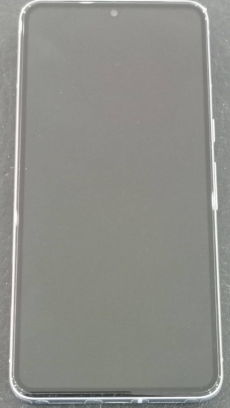 Google Pixel 8 Pro 2