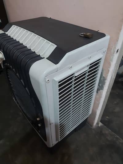 Full size cooler