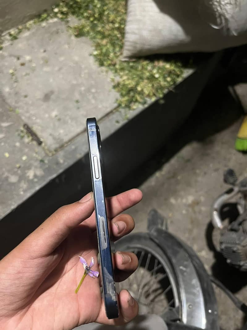 Apple iPhone 12 2