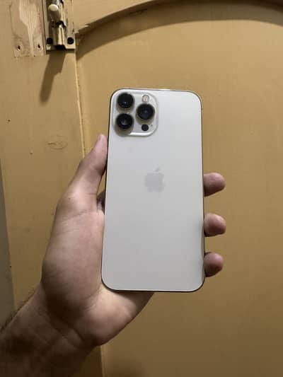 iPhone 13 Pro Max 256