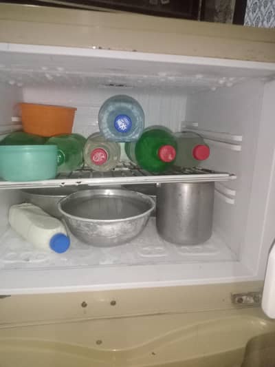 PEL fridge. . 03244736065