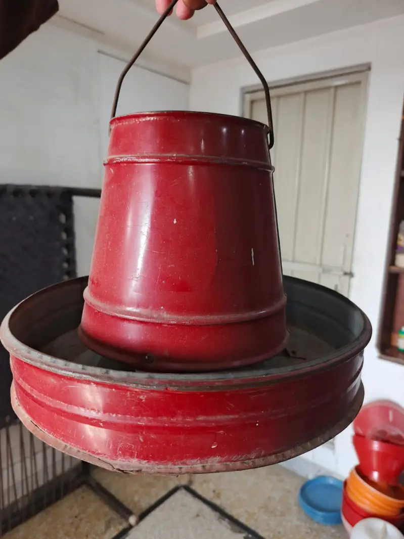 feed bwol , water botel