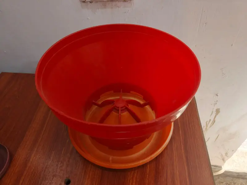 feed bwol , water botel — photo 4