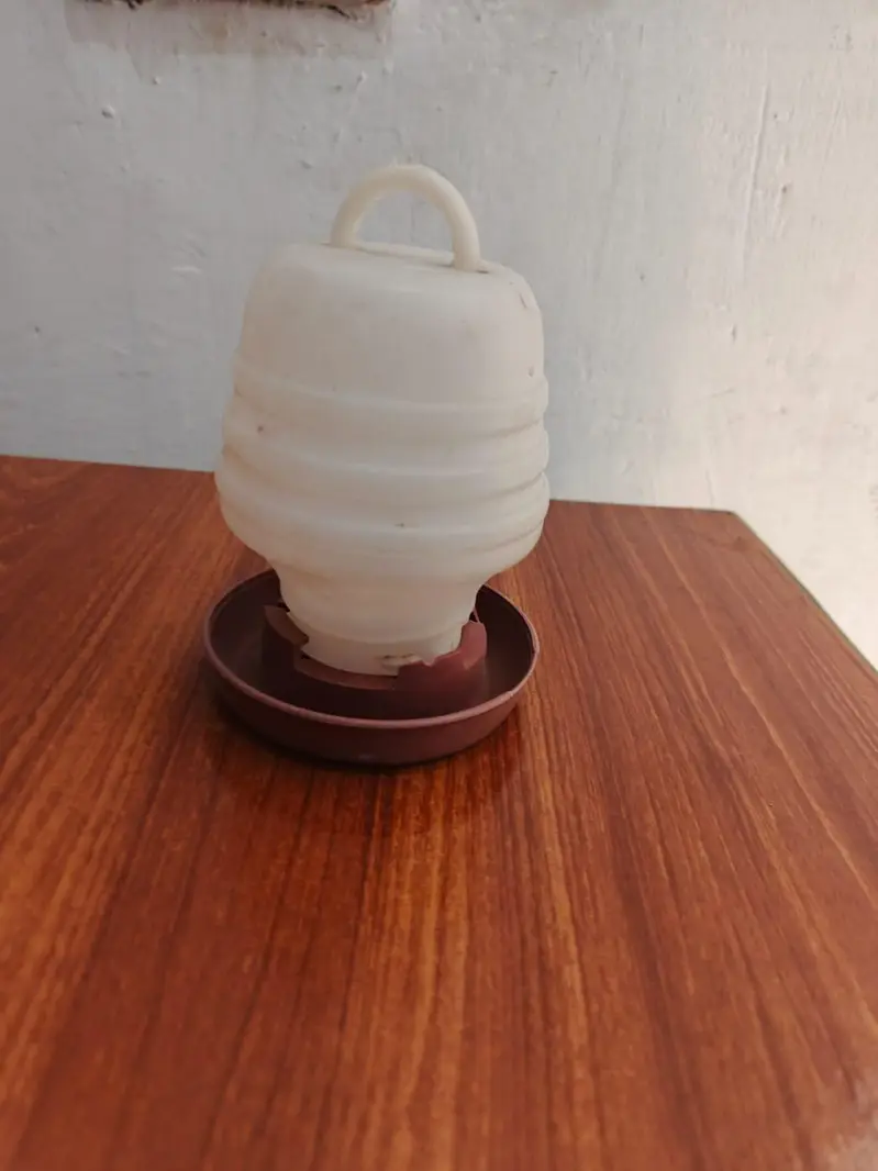 feed bwol , water botel — photo 10