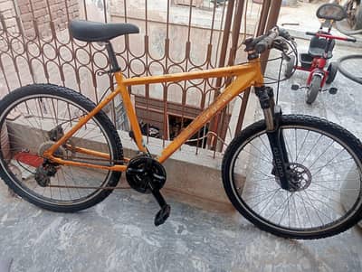 bicycle full size