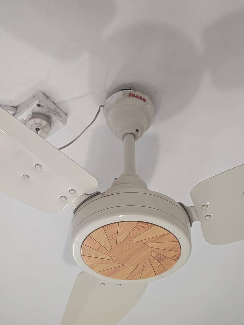 Ceiling Fan 1