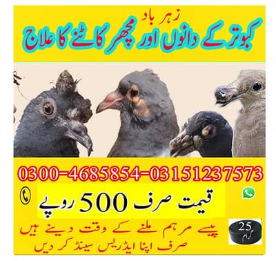ہر قسم کے آرڈرد کے لیئے واٹس ایپ پر رابطہ کریں 0.3. 0.0. 4.6. 8.5. 8.5. 4