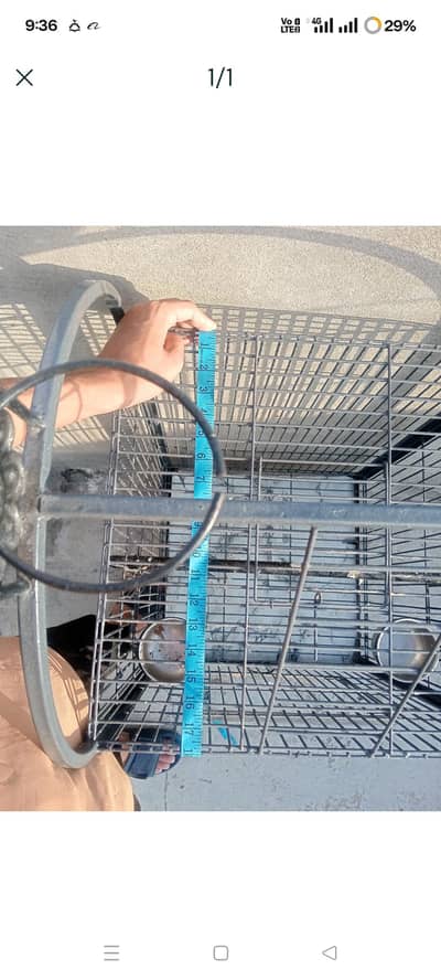 Iron Cage