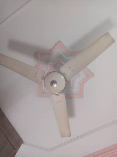 Two Ceiling Fan New Condition