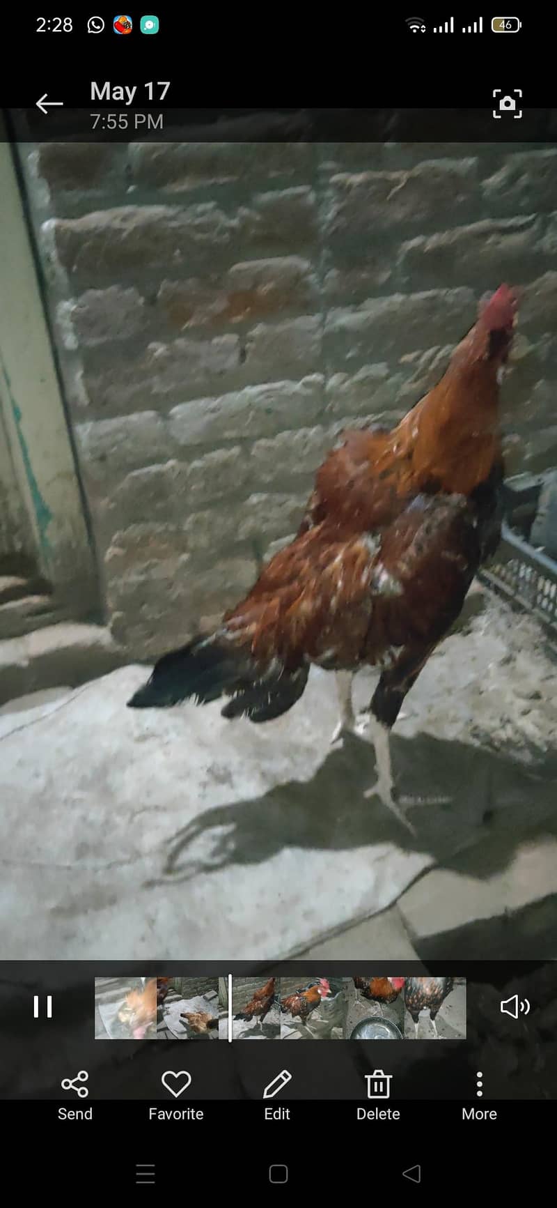 beghm patha 1