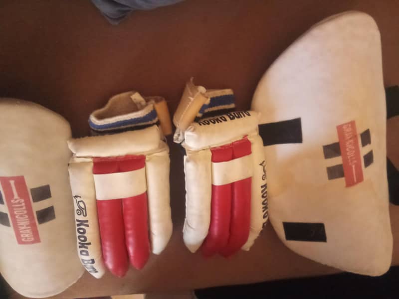 Cricket Kit 5