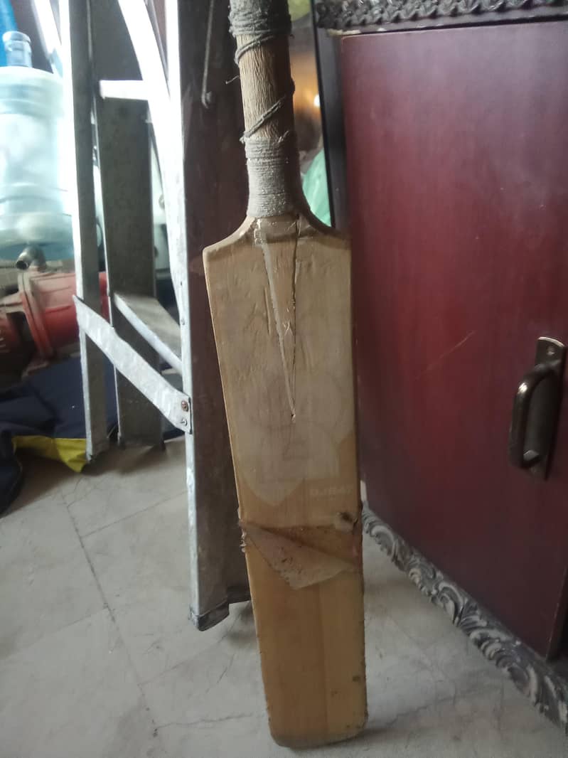 Cricket Kit 12