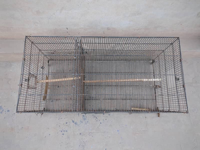 big cage 1