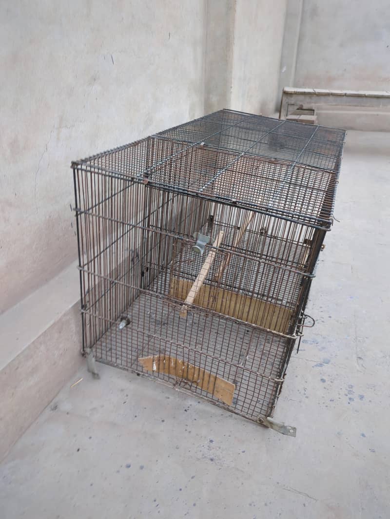big cage 2