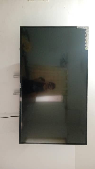 55" LCD