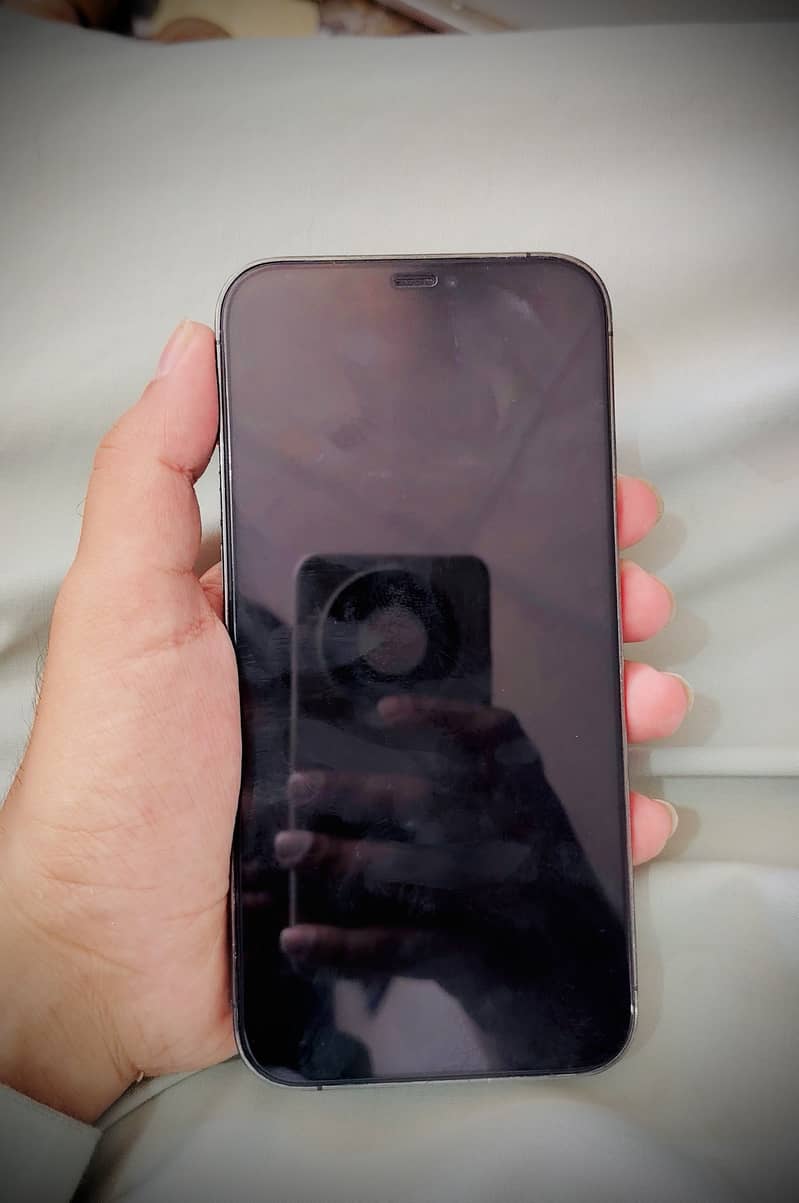IPhone 12 Pro Max 5