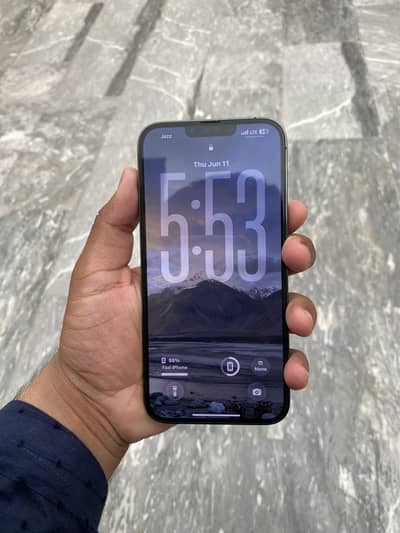 Apple iPhone 13 Pro Max