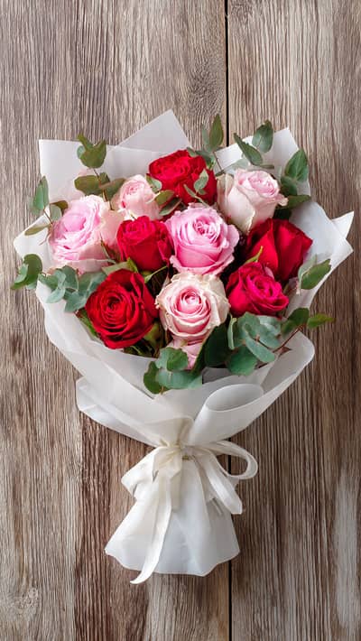 All Types of Plants for Sale | Flower, Fruit, Shade & Decorative Plant