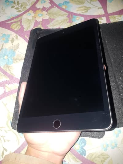 ipad mini 5