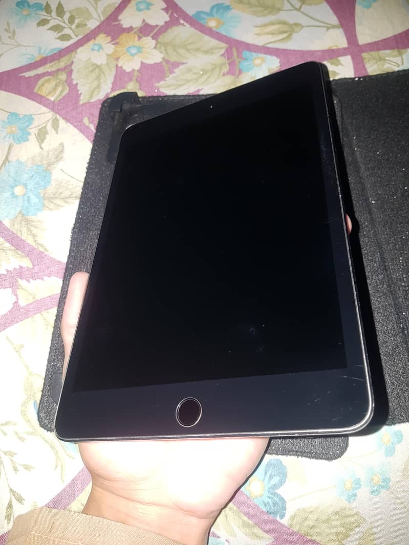 ipad mini 5 0