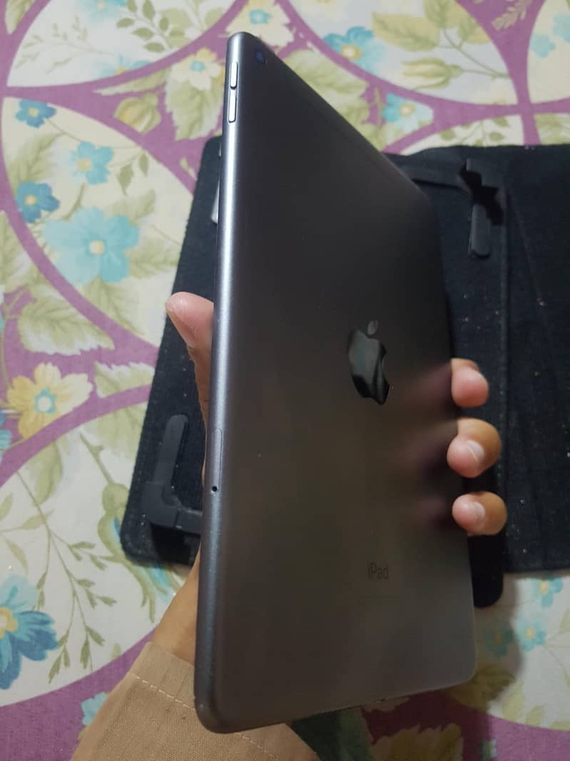 ipad mini 5 6