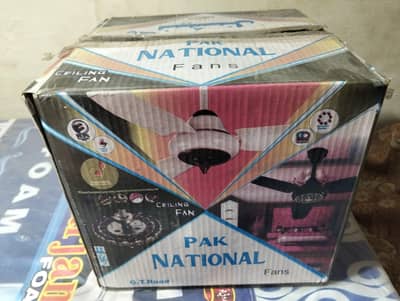 pak national fan