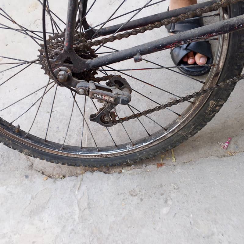 Bicycle 1