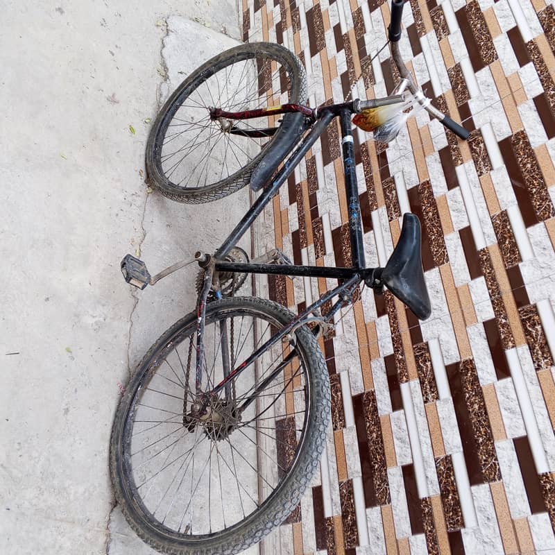 Bicycle 2