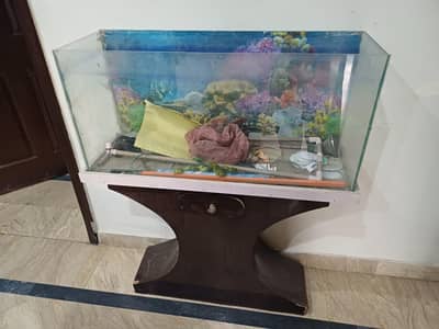 fish box new condition for sale