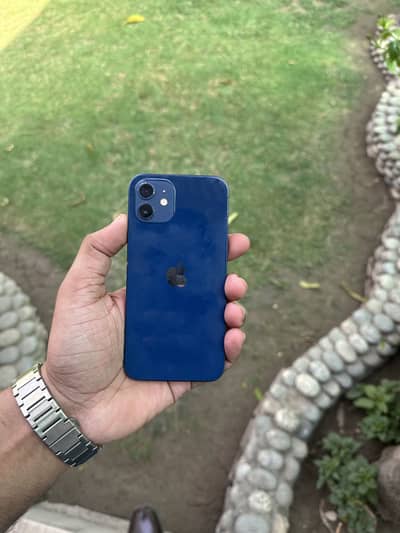 Iphone 12 128 GB Dual PTA Approved