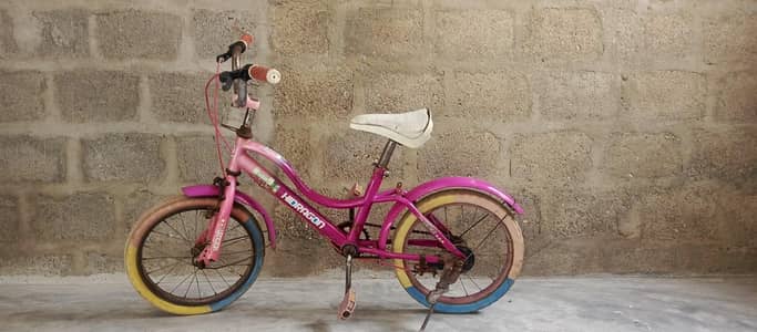 Hidragon Bicycle