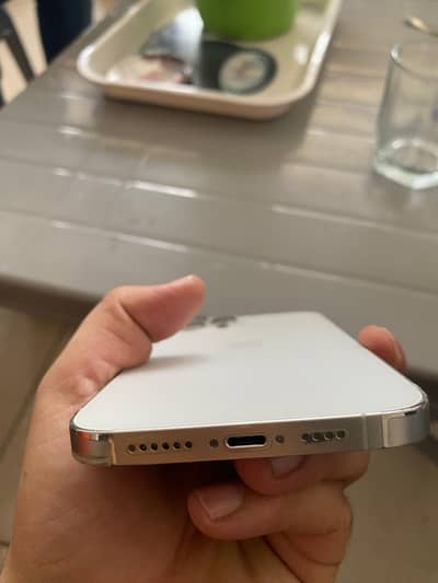 Apple iPhone 12 Pro Max