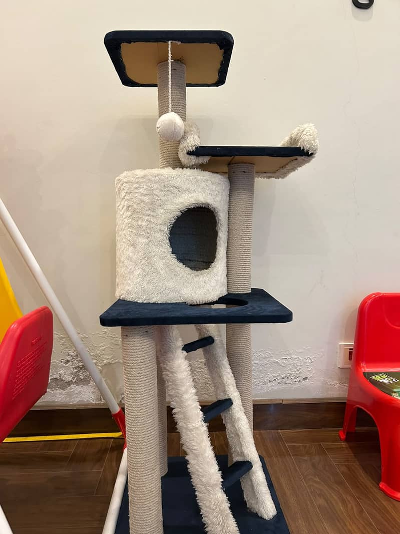 Cat Scratching Post 0