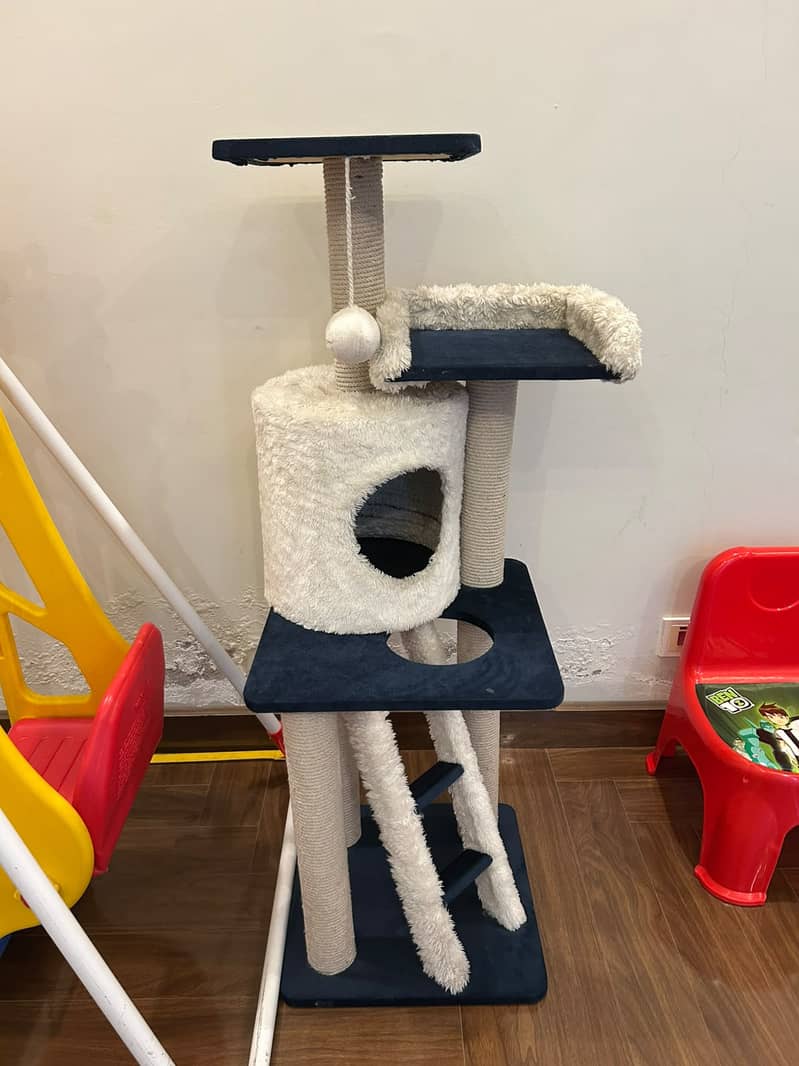 Cat Scratching Post 1