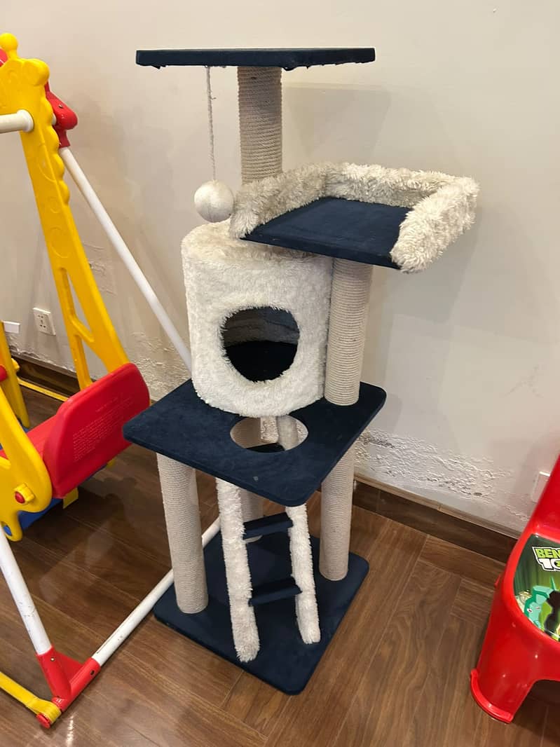 Cat Scratching Post 2