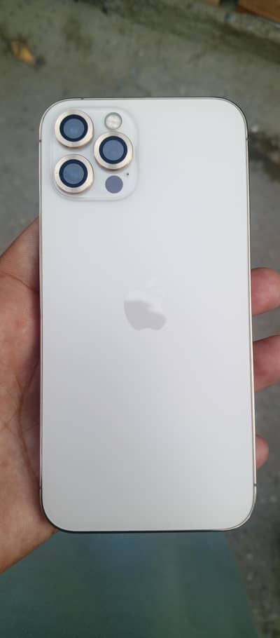 12 pro