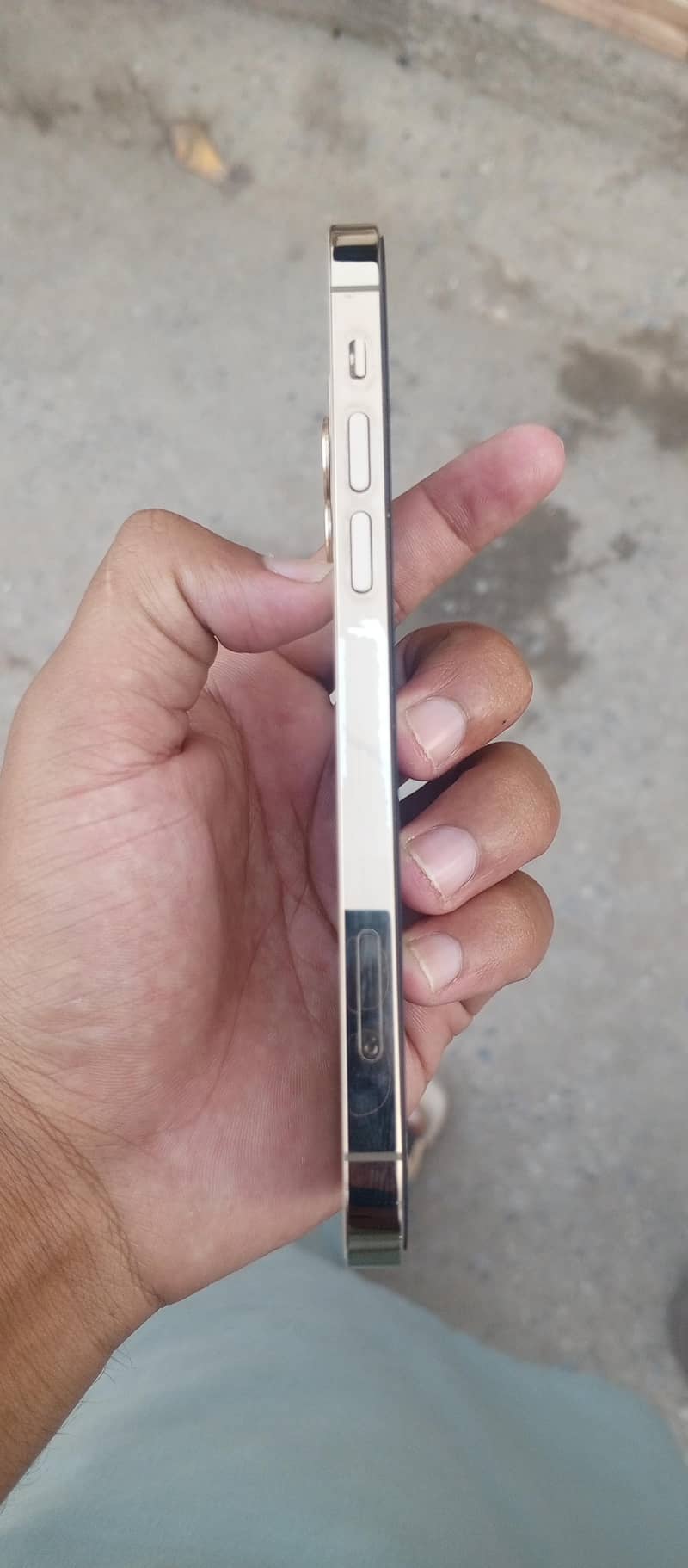 12 pro 2