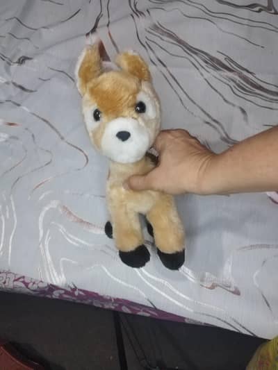 https://vt. tiktok. com/ZSQjJjsLF/