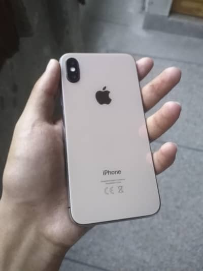 Apple iPhone X