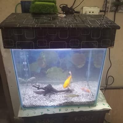 aquarium