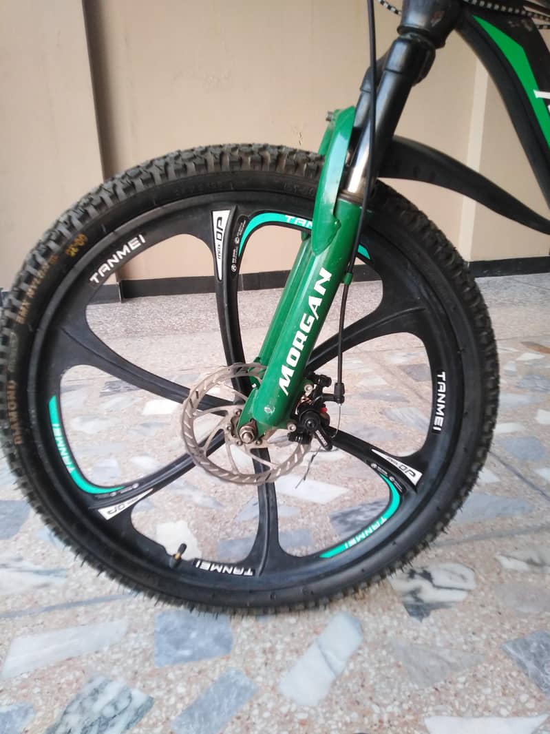 morgan cycle 5