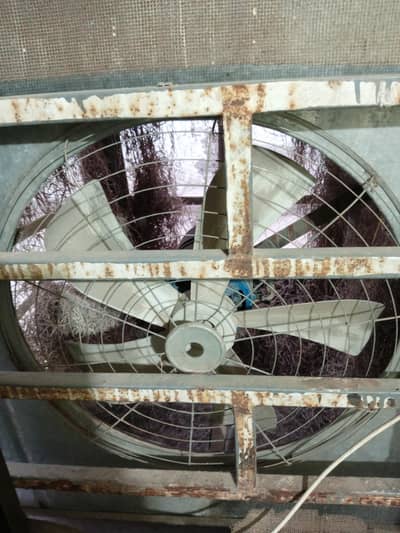 Lahori Air Cooler