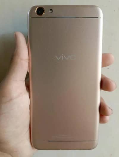 Vivo kit 4/64